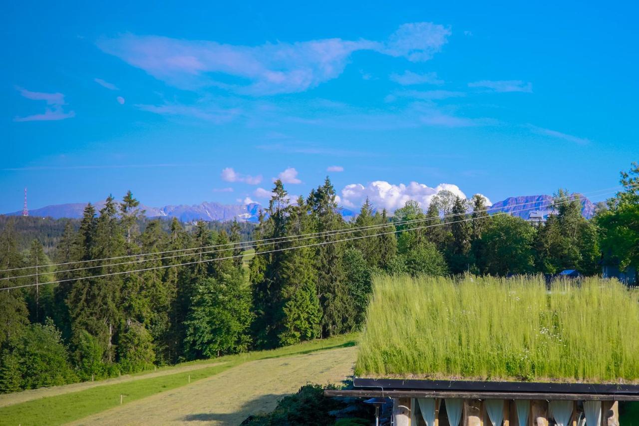 Alpejska Szarotka Villa Nowe Bystre ภายนอก รูปภาพ